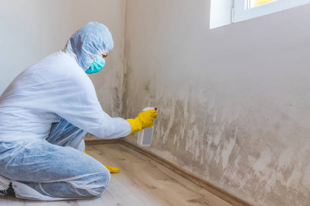 Mold inspector in Warfield performing thermal imaging